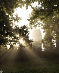 Rosenh&ouml;he Sonnenaufgang Spanischer Turm Nebel